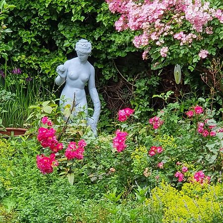 Die Villa Mettmann Exteriér fotografie